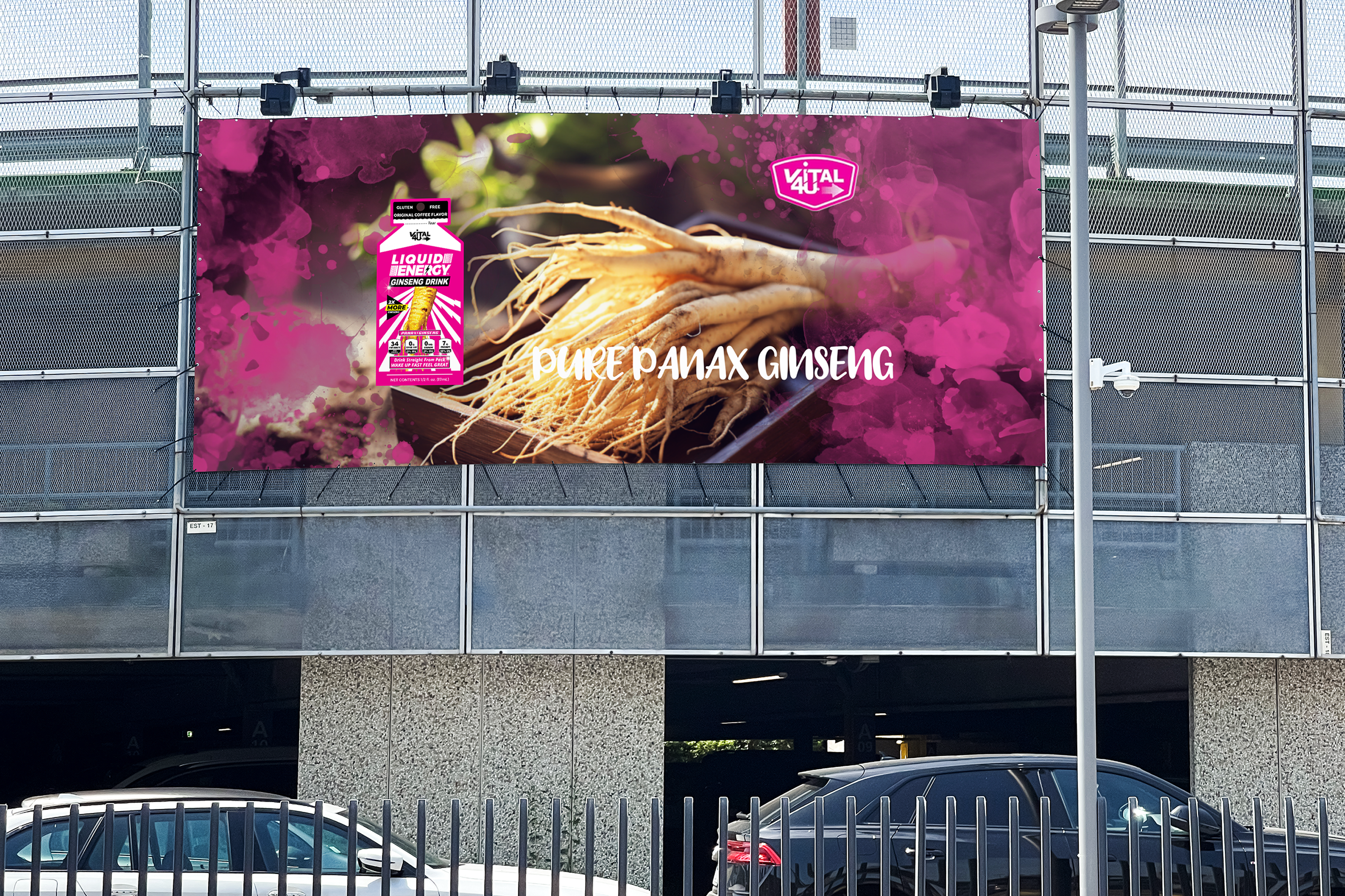 Liquid Energy Ginseng 6 Pack Sample Pack